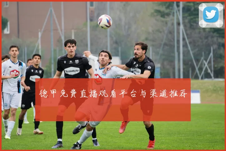 德甲免费直播观看平台与渠道推荐