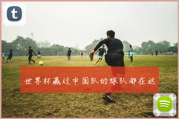 世界杯赢过中国队的球队都在这