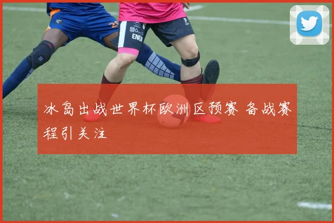 冰岛出战世界杯欧洲区预赛 备战赛程引关注