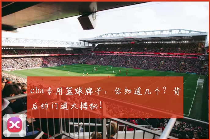 cba专用篮球牌子，你知道几个？背后的门道大揭秘！