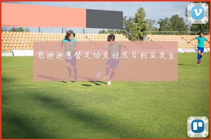 恩迪迪愿替足协支付尼日利亚奖金