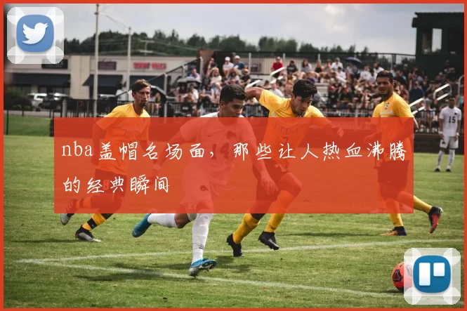 nba盖帽名场面，那些让人热血沸腾的经典瞬间