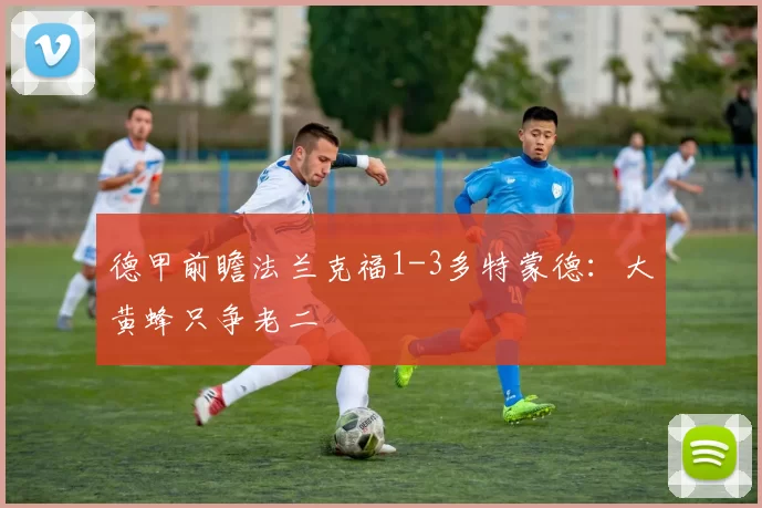 德甲前瞻法兰克福1-3多特蒙德：大黄蜂只争老二