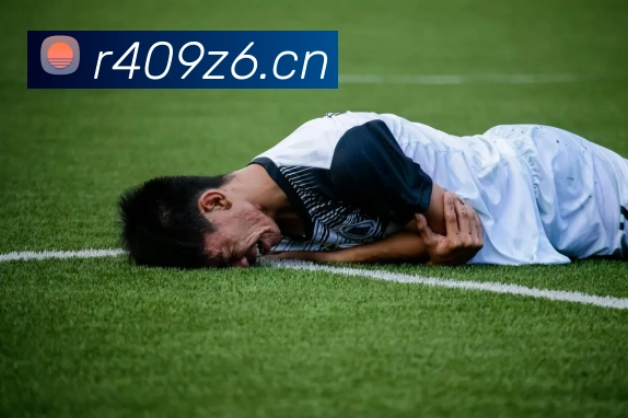milan米兰官网APP 封面图